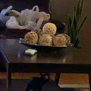 Meet your Posher, Nancy